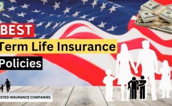 Best Term Life Insurance Policies in the USA